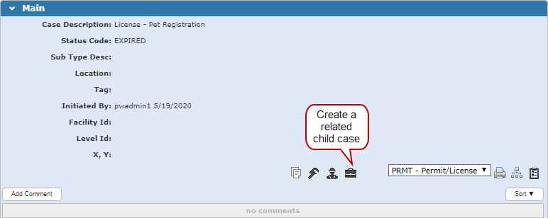 Create a Related Child Case from the Main Panel